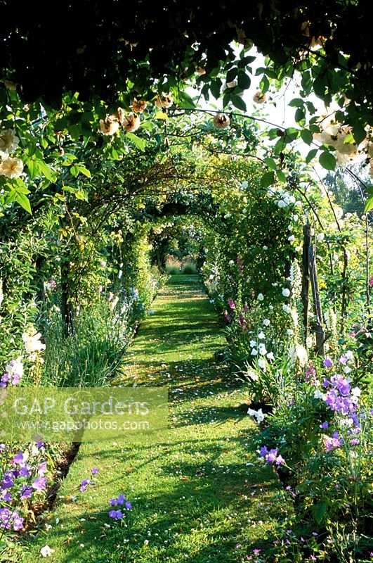 View through apple tunnel with grass path at The Dower House in Shropshire
