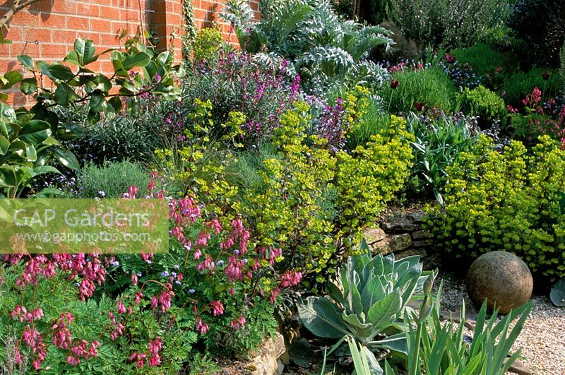 Suburban garden with raised dry border at Thursley Lodge in Surrey