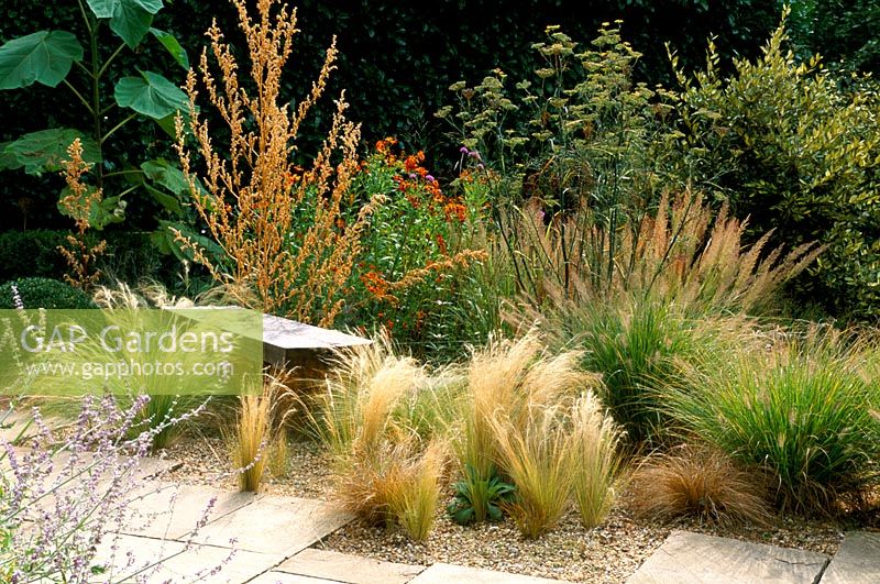 Dry gravel garden with Foeniculum - fennel, Atriplex - Orache, grasses and wooden bench at Thursley Lodge in Surrey