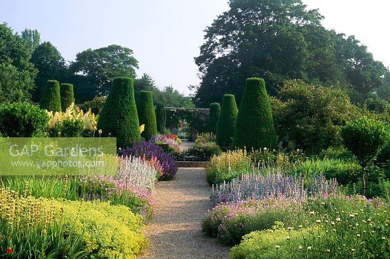 Formal rose garden with yew topiary and herbaceous borders at Mottisfont in Hampshire. 