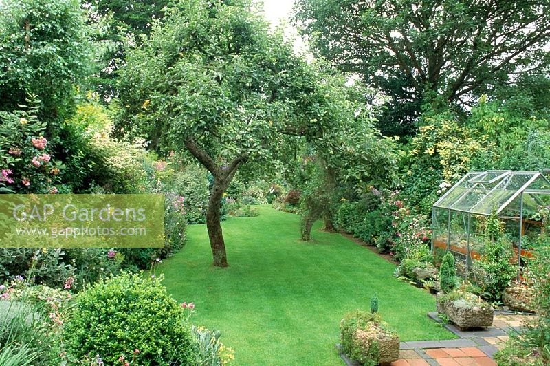 Suburban garden with Apple tree on lawn, mixed border and greenhouse.
Hillgrove Cres Kidderminster