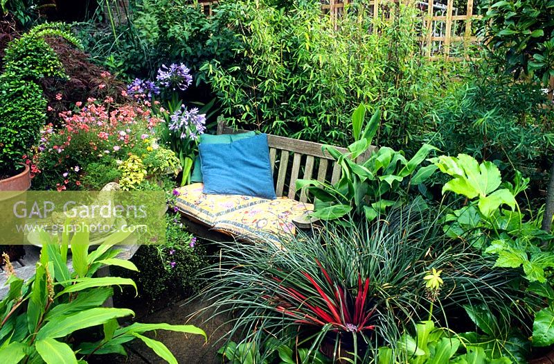Bench with cushions surrounded by lush planting