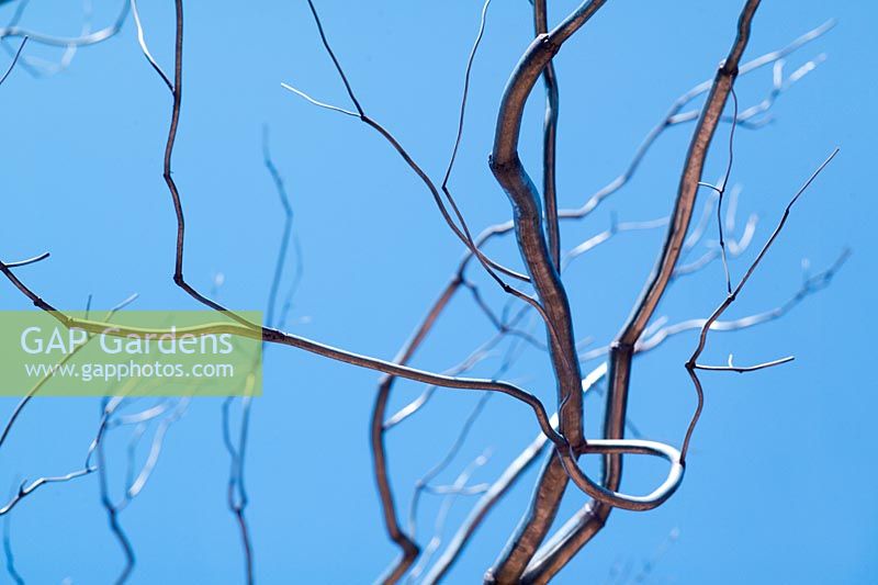 Closeup of branches of metal sculpture shaped as tree in Nmac Sculpture Park 