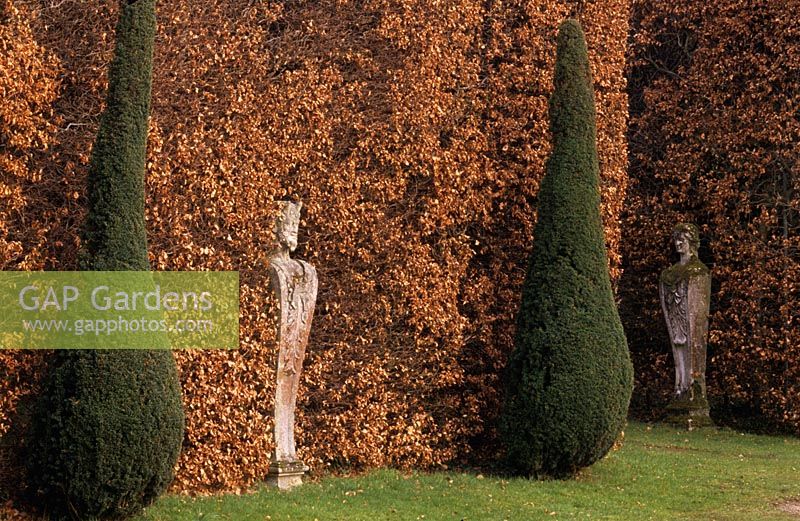 Fagus - Beech hedge with statues and clipped conifers at Chatsworth in Derbyshire