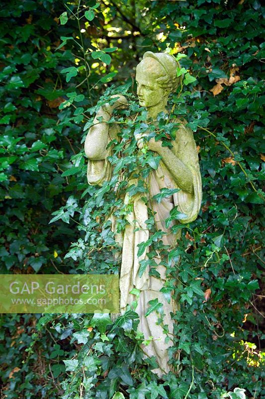 Statue overgrown with Hedera - Ivy at Lower House, Powys in Wales