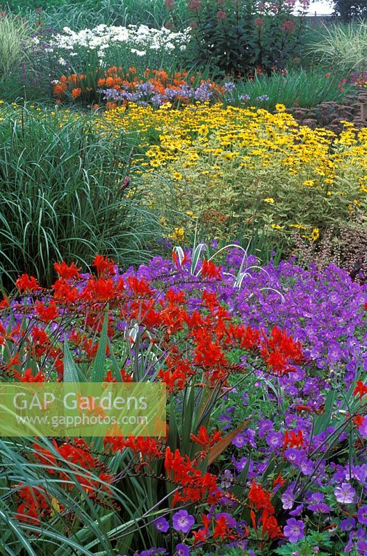 Summer border with perennials at Bressingham Gardens in Norfolk 