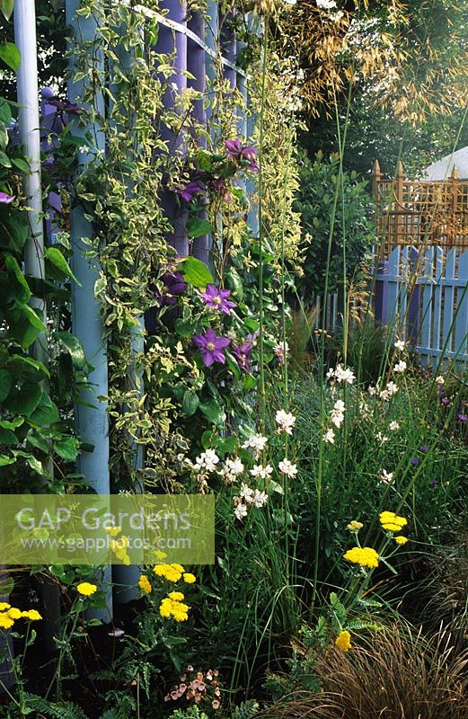 Trellis from blue poles as garden divider with climbers at Hampton Court FS 1997 