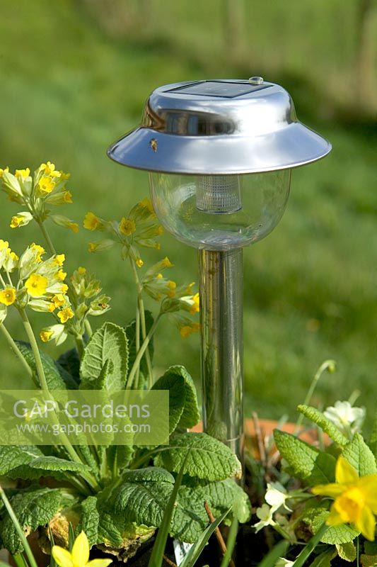 Solar powered garden light