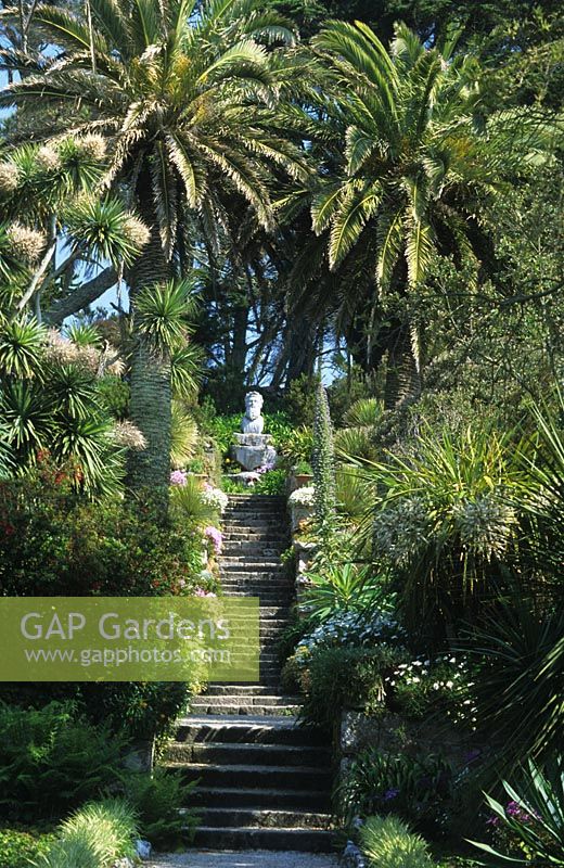 The Neptune Steps with trachycarpus fortunei palms at Tresco Abbey gardens, Isles of Scilley.