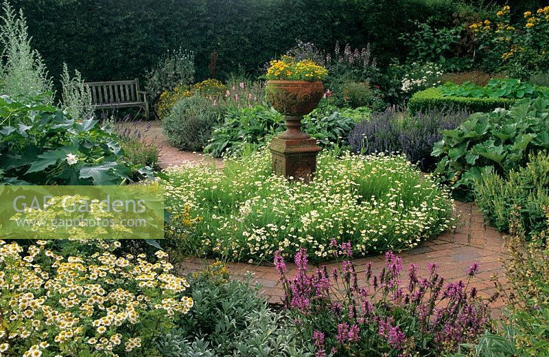 Herb Garden with terracotta urn as focal point surrounded by Chamomile and brick path at RHS Wisley, Surrey