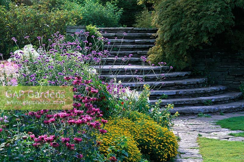 Steps by colourful border leading out of the Edwardian Garden, Hestercombe Gardens in Somerset