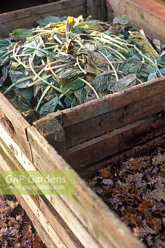 Wooden compost bins with general compost material and leaves for leaf mould 