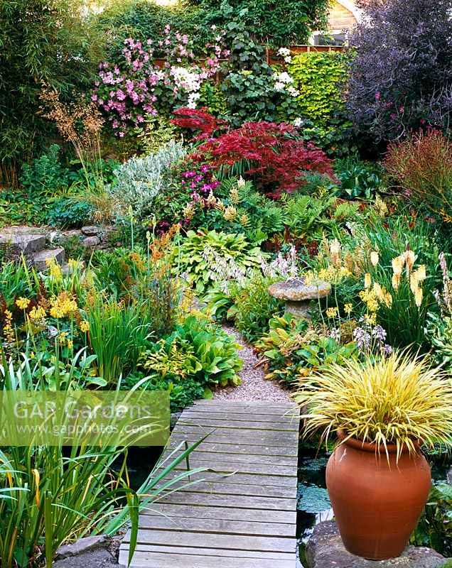 View across a wooden walkway with Acer 'Inazuma', Clematis 'Tentel', Clematis 'Valge Daam' and Primula floridae. In pots Kniphofia 'Apricot and Cream' and Hakonechloa macra 'Aureola' 