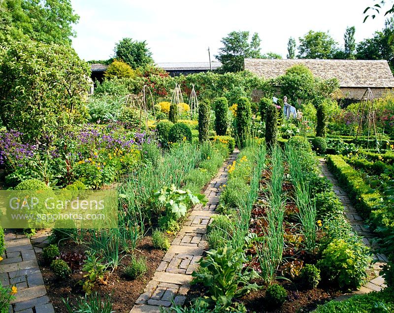 Rows of shallots and lettuces and narrow bricks paths in May in the potager at Barnsley House