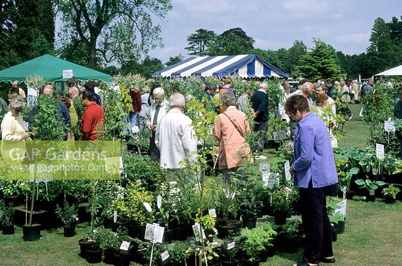 People browsing and buying plants at Fair 