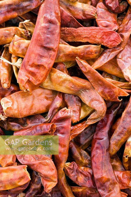 Capsicum - Dried Chillie Peppers 