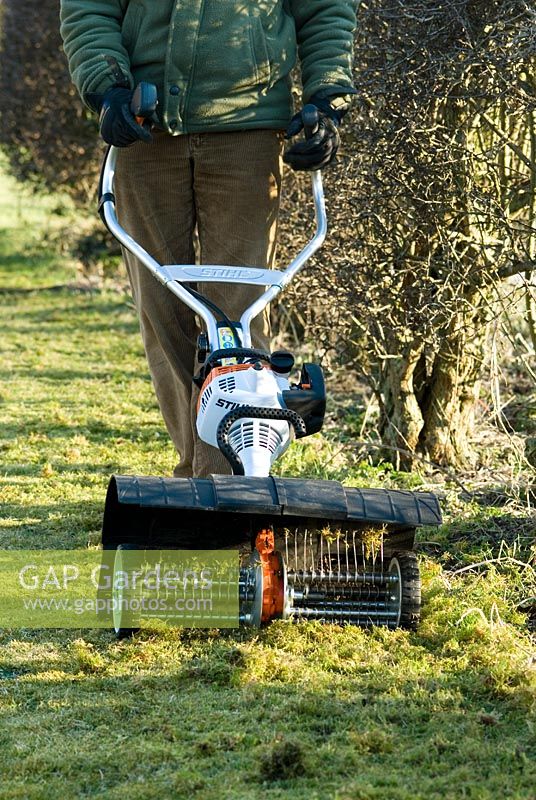 Man removing moss and thatch from the grass with a petrol powered scarifyer by hawthorn hedge in March