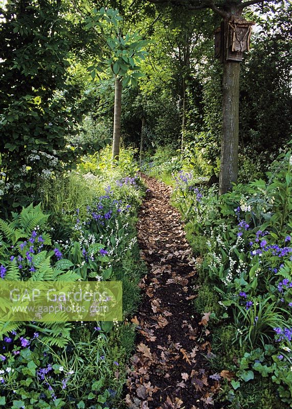 Path through Convallaria - Lily of the valley and Hyacinthoides - Bluebells in woodland garden, The 4Head garden of dreams  