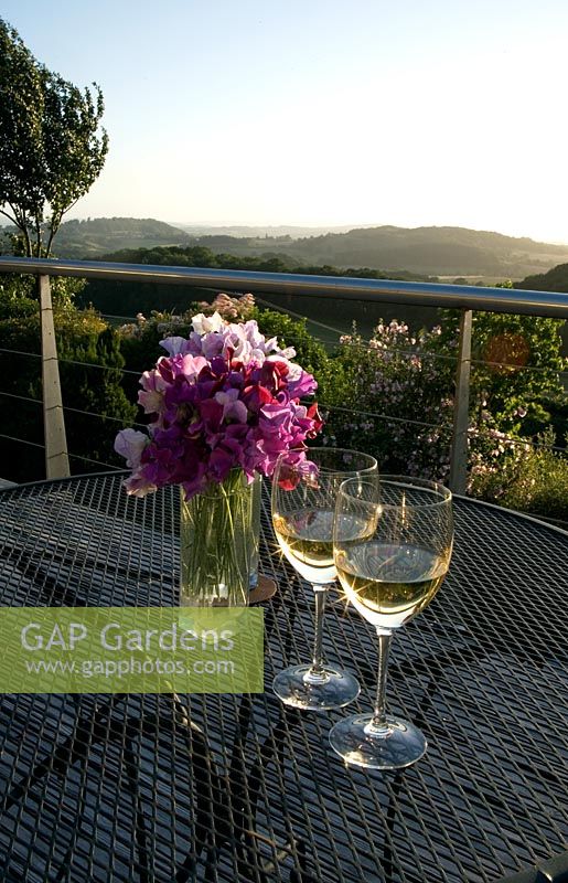 Bunch of mixed Lathyrus - Sweetpeas in glass vase with 2 glasses of white wine. On garden table at terrace with sunset