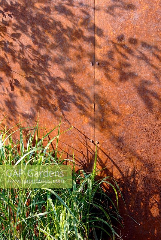 Wall of rusted steel with Miscanthus sinensis 'Zebrinus' in The 'New Eden' conceptual garden 