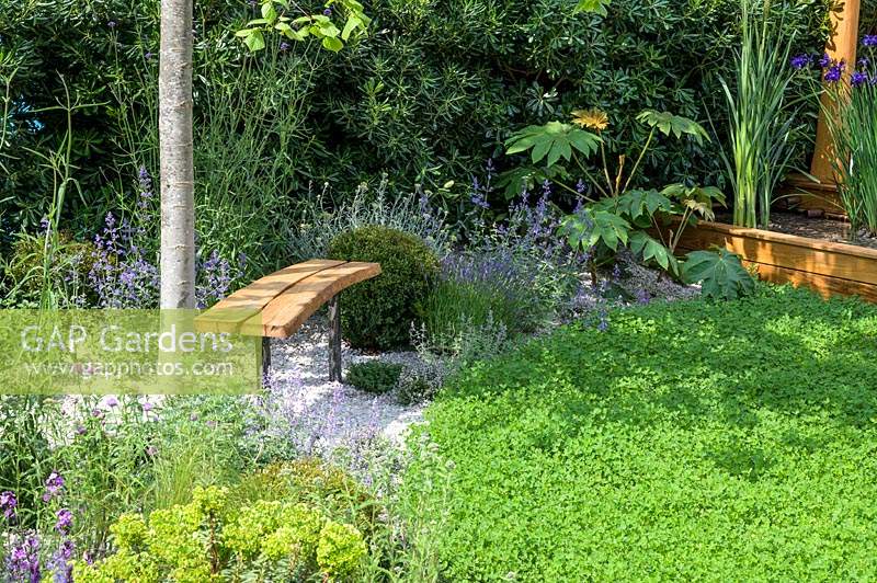 The Harmonious Garden of Life. Designed by  Laurélie de la Salle, sponsored by Mr Robert and Mrs Sue Cawthorn, Margheriti Piante, Italy. RHS Chelsea Flower Show, 2019.  
