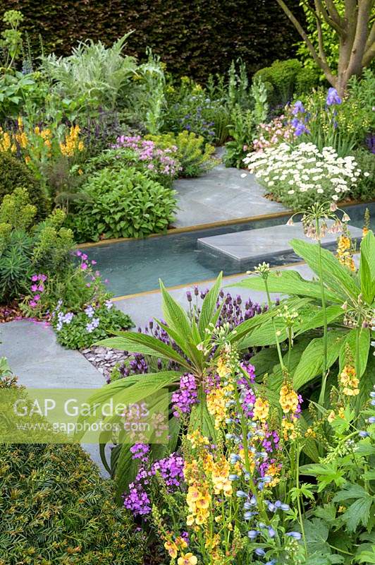 The Morgan Stanley Garden, designed by Chris Beardshaw, sponsored by Morgan Stanley, RHS Chelsea Flower Show, 2019.