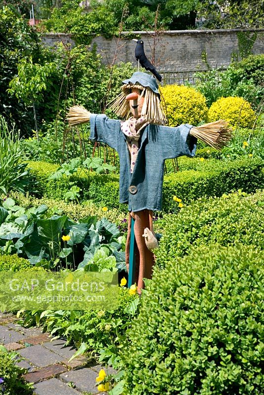 Scarecrow in the potager, well known formal vegetable garden at Barnsley House Gardens, Glos - Former garden of Rosemary Verey 