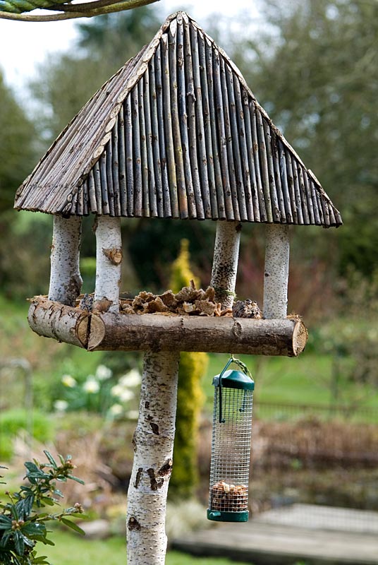 Bird table with bread crumbs and nuts made from a Silver Birch tree. Bird table made by Ron Allworthy. 