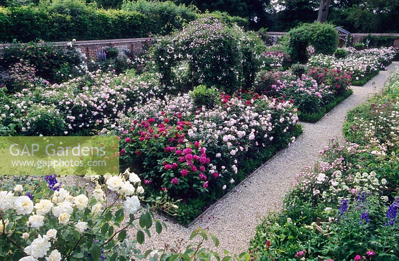 Formal walled rose garden - Mount Prosperous, Hungerford, Berkshire