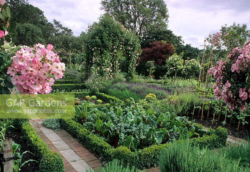Vegetable garden - Old Rectory, Sudborough