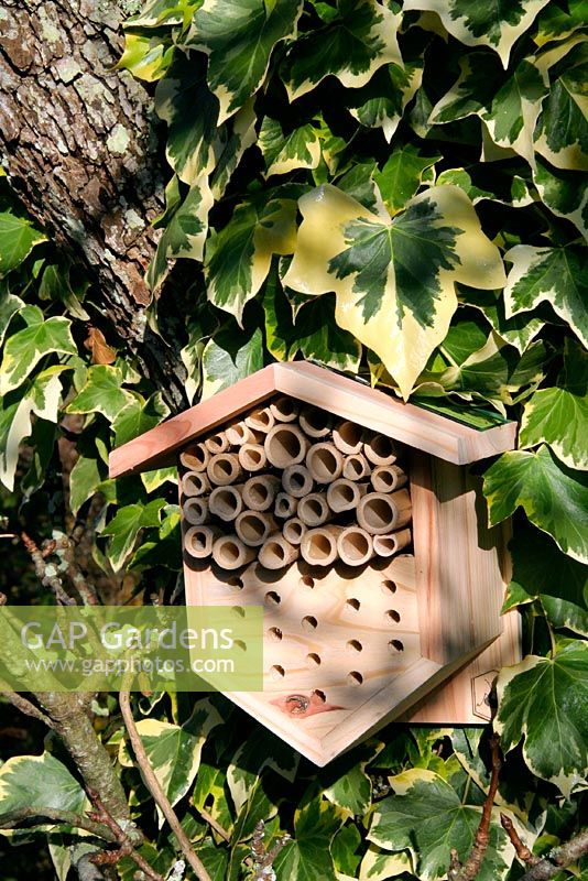 Shelter for Ladybirds, Lacewings and Bees. All beneficial garden insects, the house is made from FSC approved timber.
