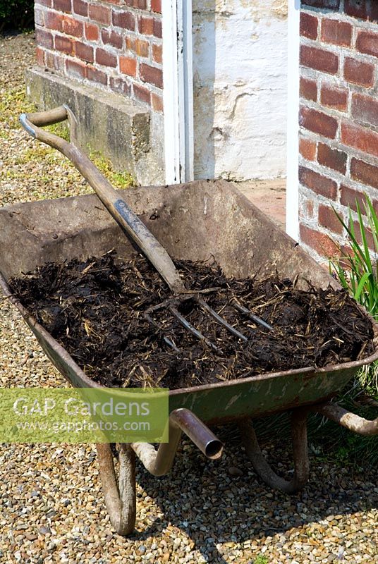 Wheelbarrow of muck with fork ready for vegetable garden outside greenhouse