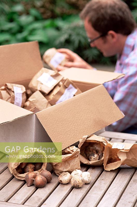 Man inspecting delivered packets of bulbs before planting