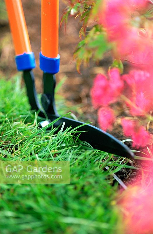 Edging lawn with edging shears - Spring