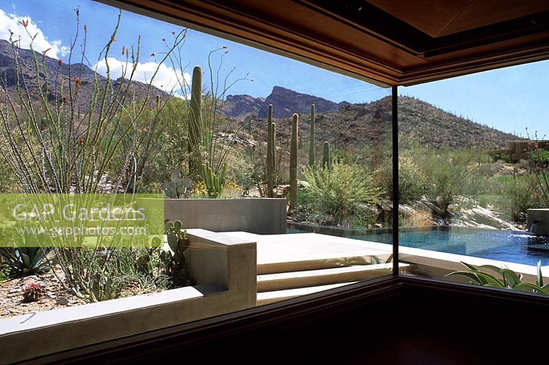 View from inside house to garden with steps and pond, mountains and Cacti in background. Design - Steve Martino, Tucson, Arizona. Architect - Bart Voorsanger