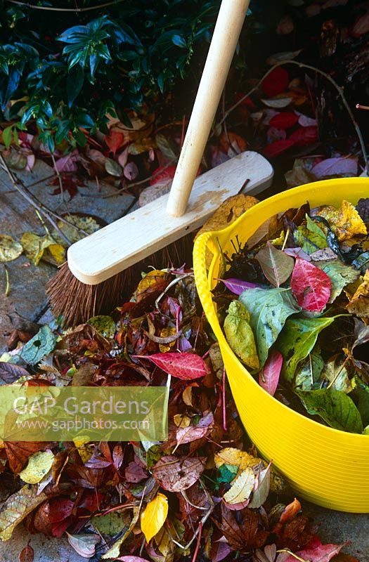 Sweeping up fallen autumn leaves on patio -  Broom and yellow bucket