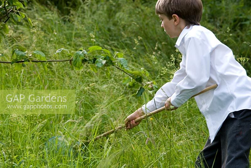 School boy searching for insects using a net in long grass in an orchard with wild flowers