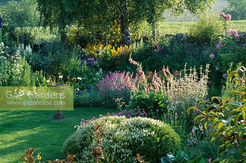 Border beside pond with lawn and sundial, planted with Hebe rakaiensis, Phuopsis stylosa, Verbascum and Lychnis flos-jovis - Oxfordshire 