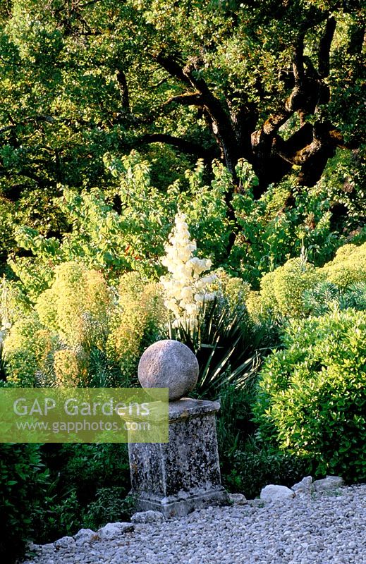Yucca gloriosa and Euphorbia beside path with stone ball and pedestal - La Chabaude, France