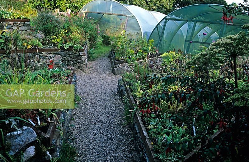 Plant sale area with triangle raised beds containing sown plants - Polytunnels in background - Jura House Walled Garden 
