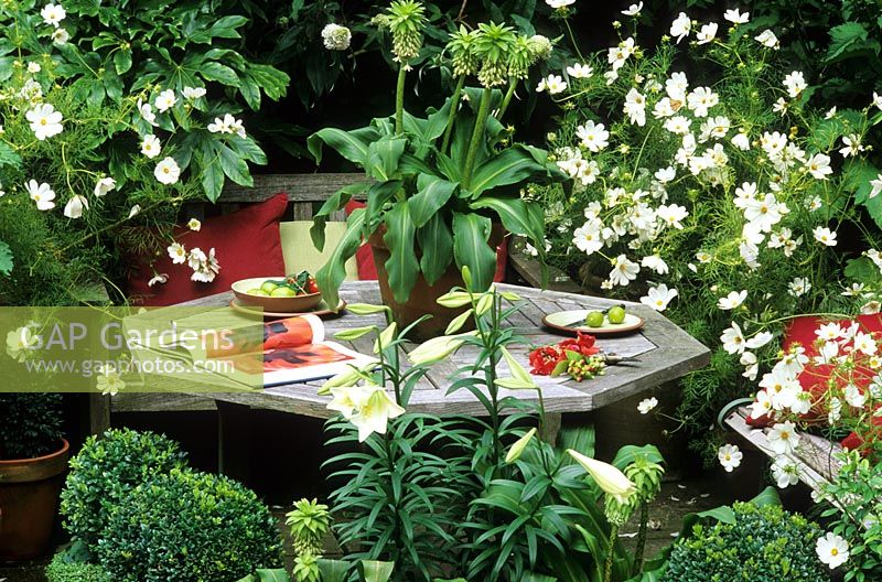 Patio table with table decorations, seating, red cushions and white Cosmos