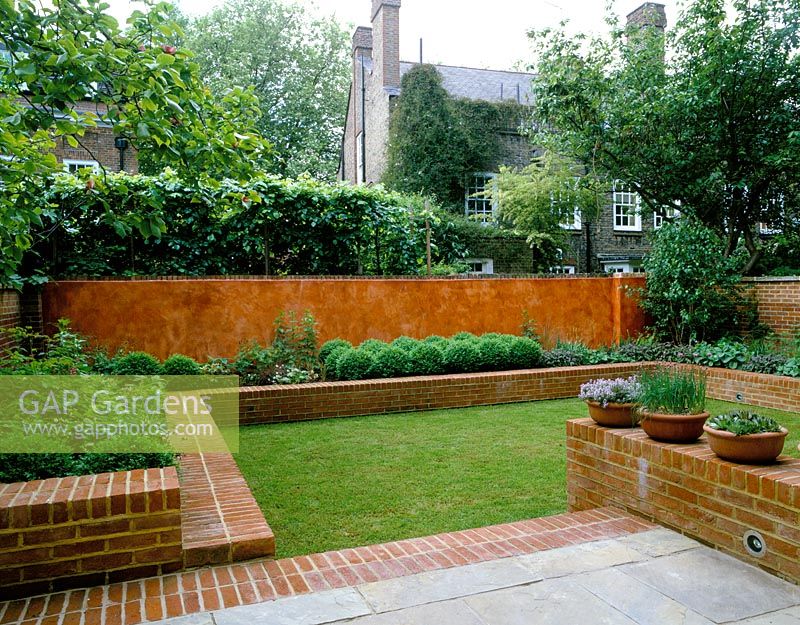 View of italian polished plaster wall backing raised bed with Buxus balls. Modernists town garden 