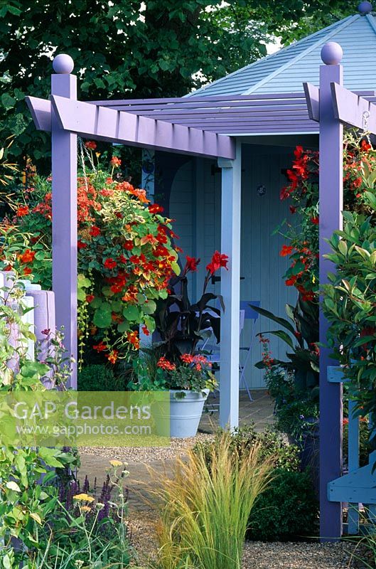 Purple pergola with hanging basket of mixed Tropaeolums and Canna 'Richard Wallace' in blue container in Gardening Which/Met. Police 'A Safe Haven' - Hampton Court