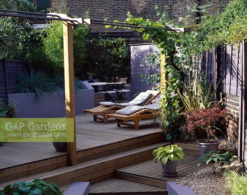 Garden with decking, Acer and Hosta in pots, loungers, pergola with vine, bamboo and raised border with blue grasses