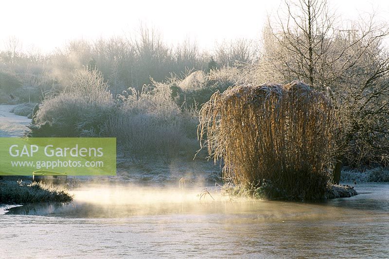 Mist rises off the lake at Lady Farm, Somerset
