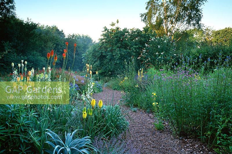 The Stone garden with Galtonia Candicans, Kniphofia 'Yellow Hammer', Kniphofia uvaria 'Nobilis', Kniphofia 'King Tawny' and Verbena Bonariensis - Holbrook garden, Devon