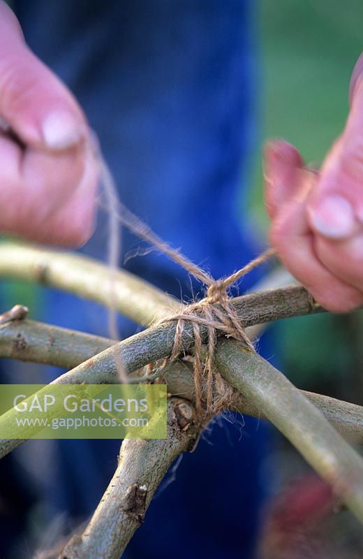 Tying stems together at top of dome