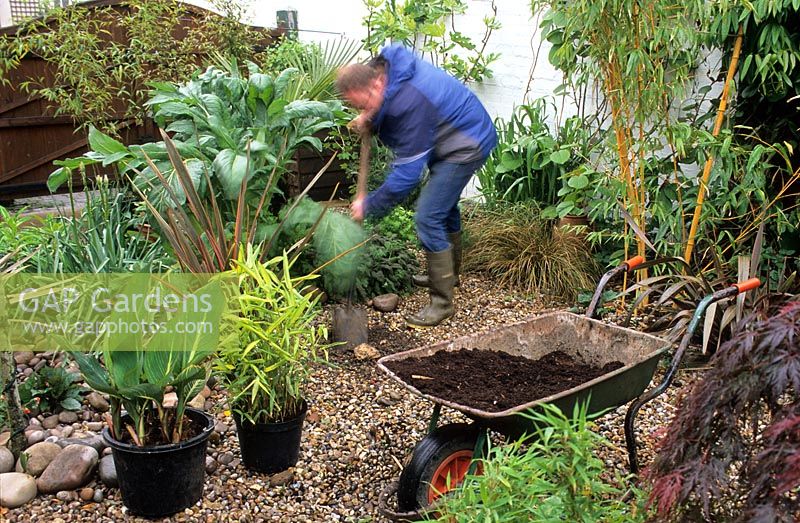 Man planting new plants in gravel garden