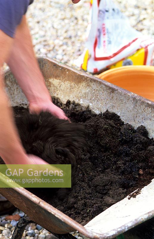 Mixing organic matter with garden soil before planting