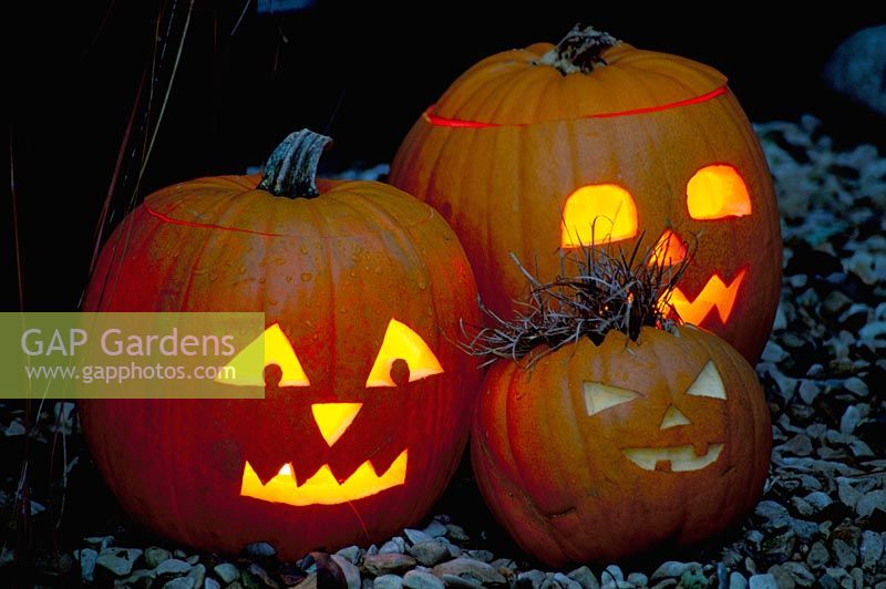 Halloween pumpkin lanterns